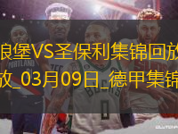 德甲-范德海登破门阿穆拉扳平沃尔夫斯堡1-1圣保利
