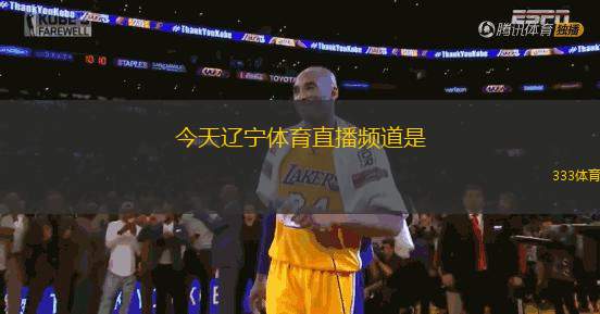 今天辽宁体育直播频道是