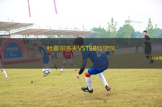 杜塞尔多夫VSTBB特里尔