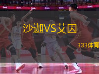 沙迦VS艾因