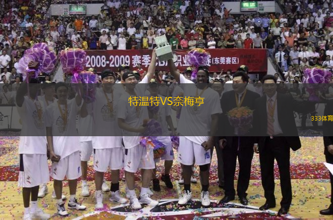 特温特VS奈梅亨