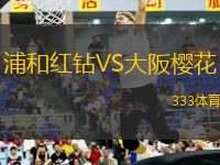 浦和红钻VS大阪樱花