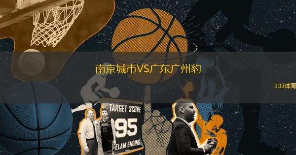 南京城市VS广东广州豹