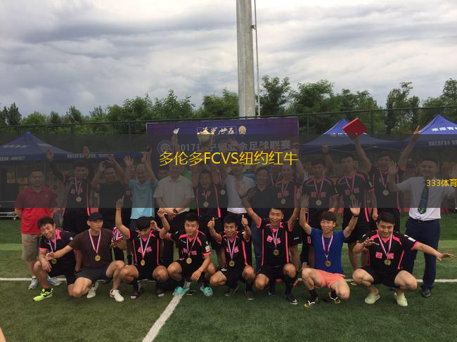 多伦多FCVS纽约红牛