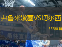弗鲁米嫩塞VS切尔西