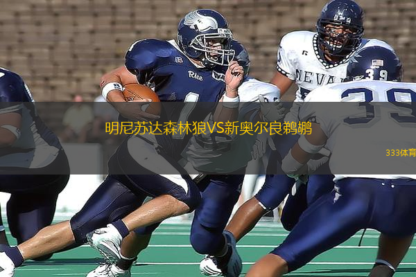 明尼苏达森林狼VS新奥尔良鹈鹕