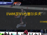 BW林茨VS杜塞尔多夫