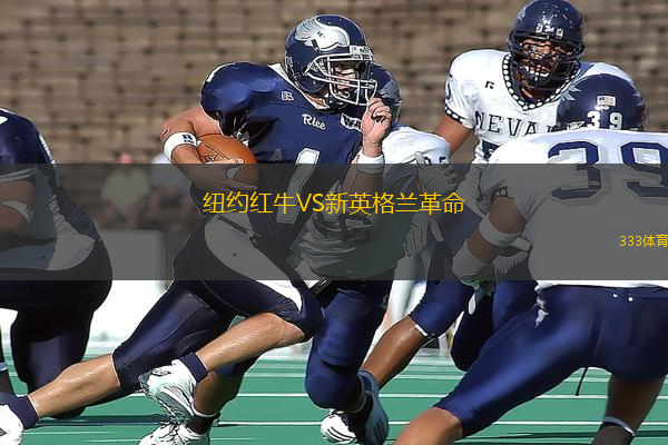 纽约红牛VS新英格兰革命