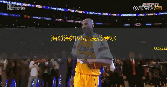 海登海姆VS瓦克蒂罗尔