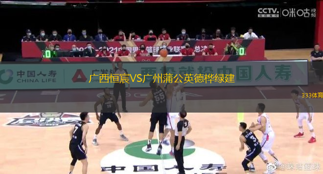 广西恒宸VS广州蒲公英德桦绿建