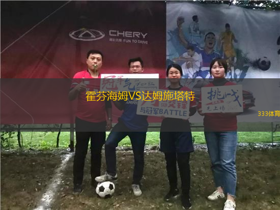 霍芬海姆VS达姆施塔特