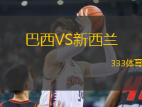 巴西VS新西兰