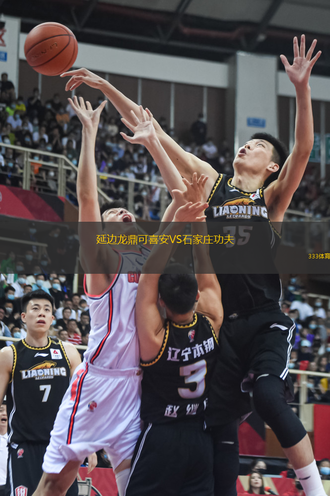 延边龙鼎可喜安VS石家庄功夫