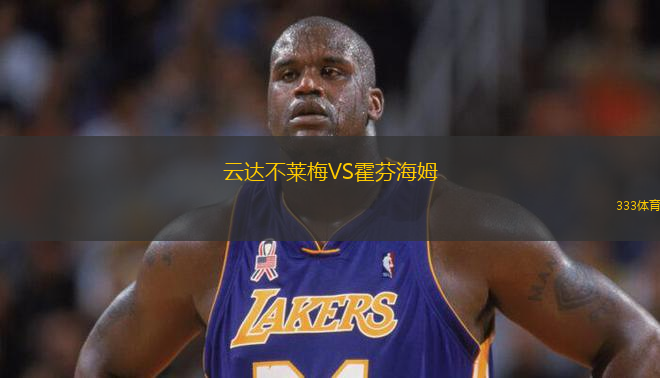 云达不莱梅VS霍芬海姆