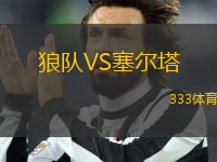 狼队VS塞尔塔