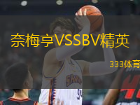 奈梅亨VSSBV精英