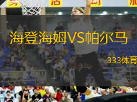 海登海姆VS帕尔马
