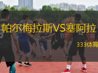 帕尔梅拉斯VS塞阿拉