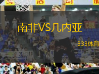 南非VS几内亚