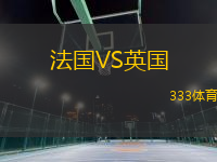 法国VS英国