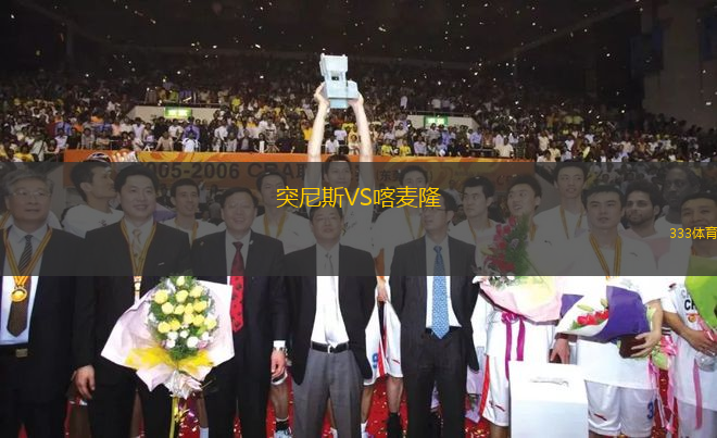 突尼斯VS喀麦隆