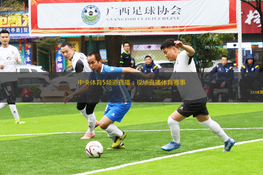 中央体育5频道直播：现场直播体育赛事