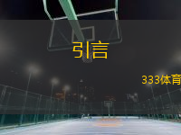 引言