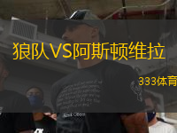 狼队VS阿斯顿维拉