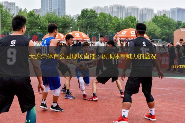 大连湾体育公园现场直播：展现体育魅力的盛况