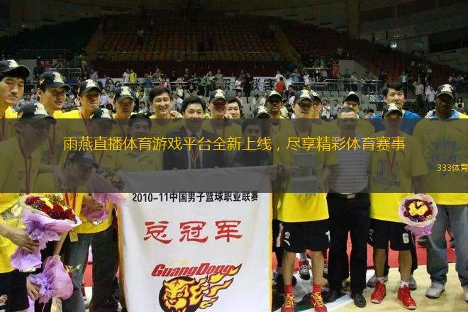 雨燕直播体育游戏平台全新上线，尽享精彩体育赛事