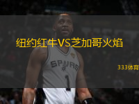 纽约红牛VS芝加哥火焰